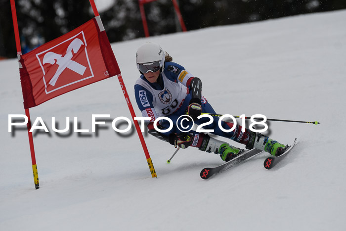 Int. FIS Rennen Damen, RS, Maria Alm 09.01.2018