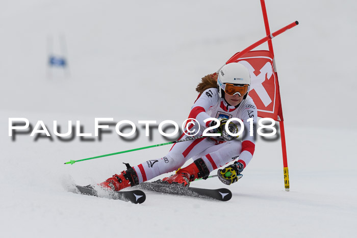 Int. FIS Rennen Damen, RS, Maria Alm 09.01.2018