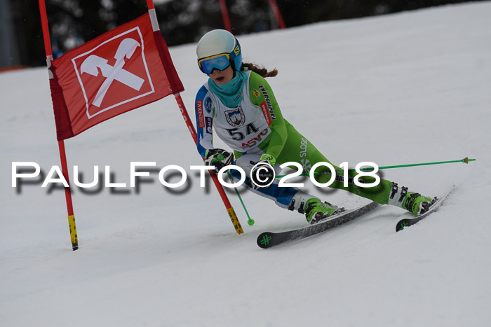 Int. FIS Rennen Damen, RS, Maria Alm 09.01.2018