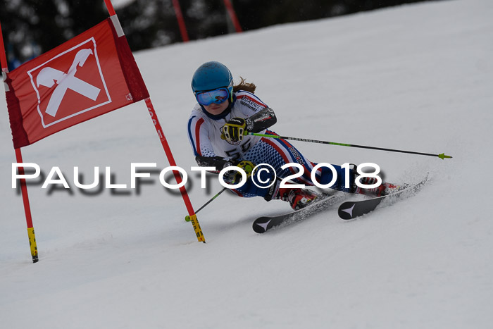 Int. FIS Rennen Damen, RS, Maria Alm 09.01.2018