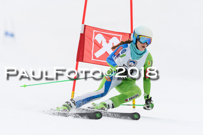 Int. FIS Rennen Damen, RS, Maria Alm 09.01.2018