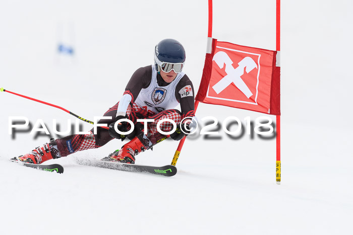 Int. FIS Rennen Damen, RS, Maria Alm 09.01.2018