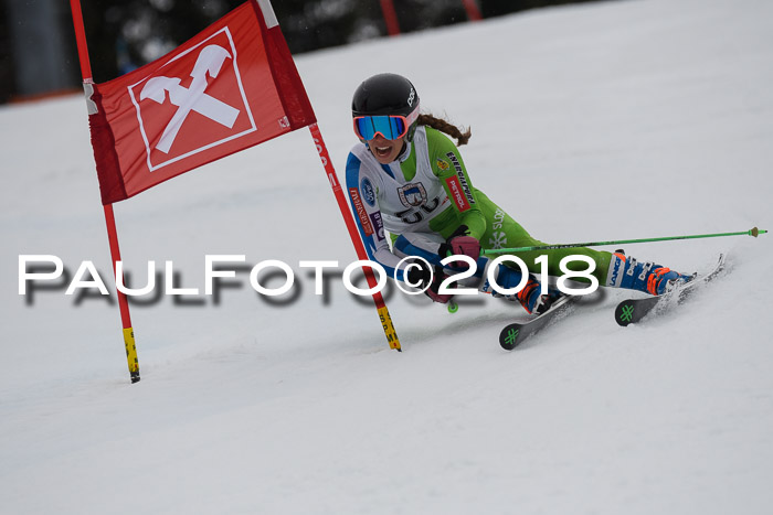 Int. FIS Rennen Damen, RS, Maria Alm 09.01.2018