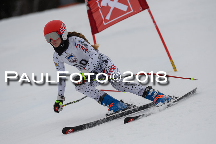 Int. FIS Rennen Damen, RS, Maria Alm 09.01.2018