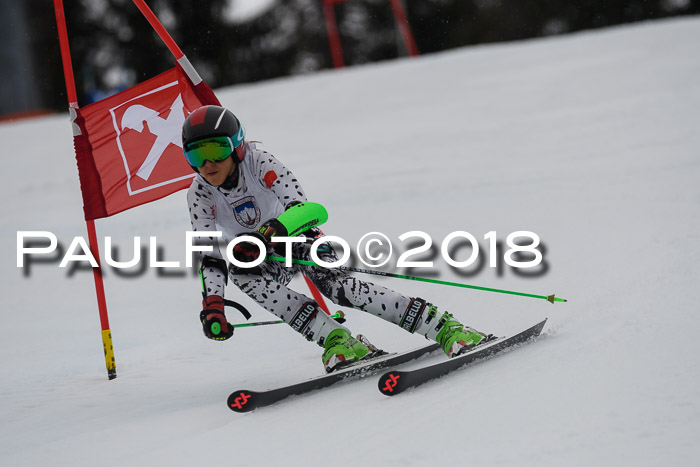 Int. FIS Rennen Damen, RS, Maria Alm 09.01.2018