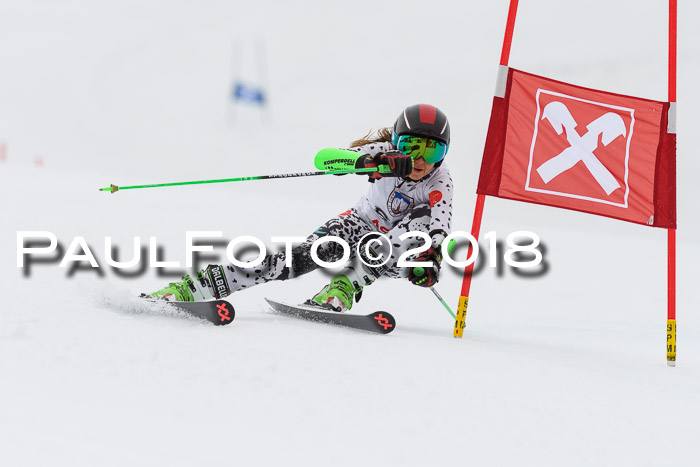 Int. FIS Rennen Damen, RS, Maria Alm 09.01.2018