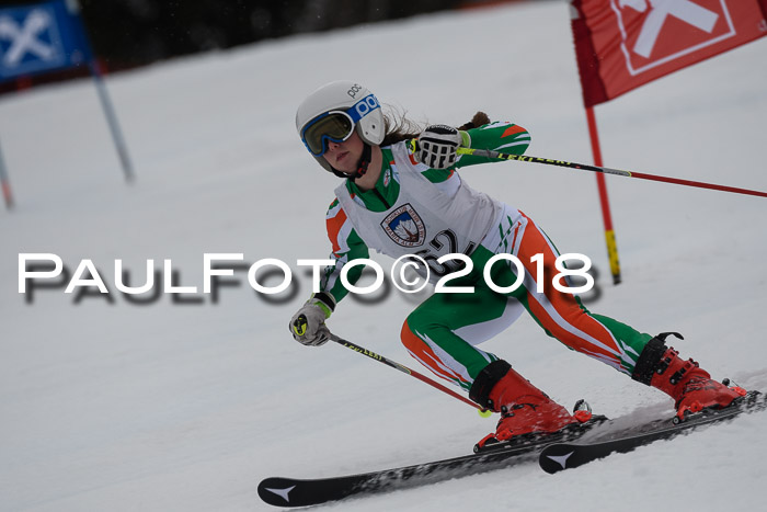 Int. FIS Rennen Damen, RS, Maria Alm 09.01.2018