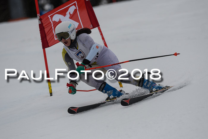 Int. FIS Rennen Damen, RS, Maria Alm 09.01.2018