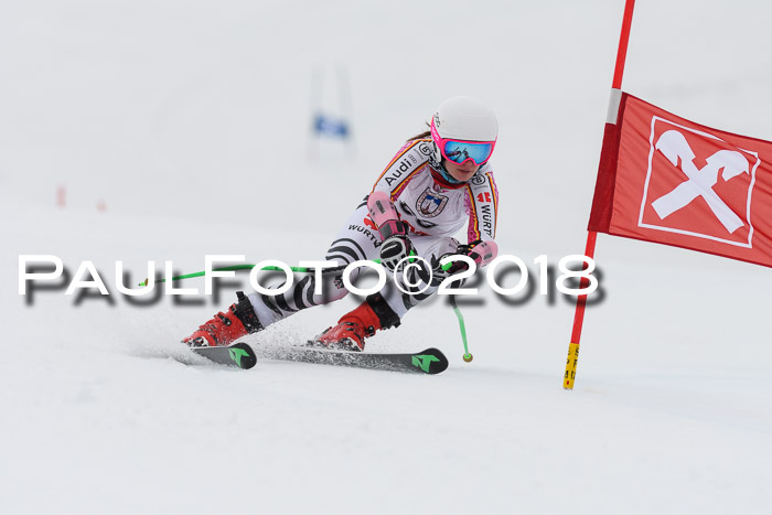 Int. FIS Rennen Damen, RS, Maria Alm 09.01.2018