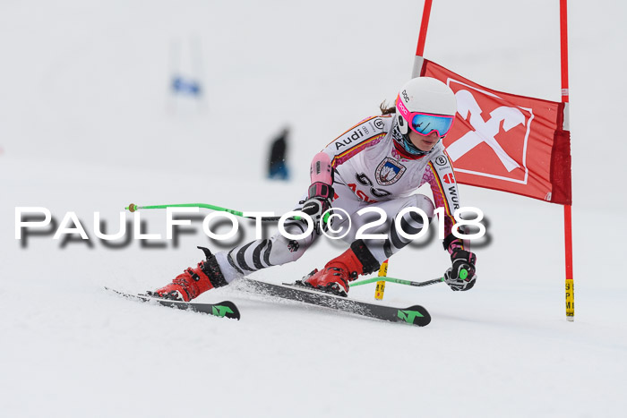 Int. FIS Rennen Damen, RS, Maria Alm 09.01.2018