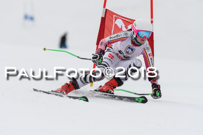 Int. FIS Rennen Damen, RS, Maria Alm 09.01.2018