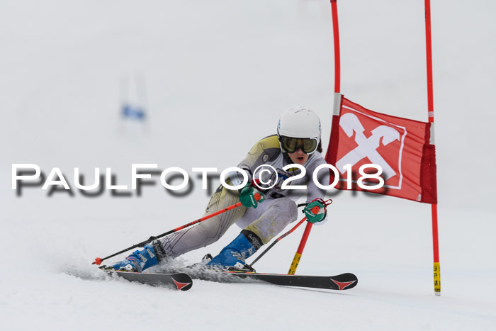 Int. FIS Rennen Damen, RS, Maria Alm 09.01.2018