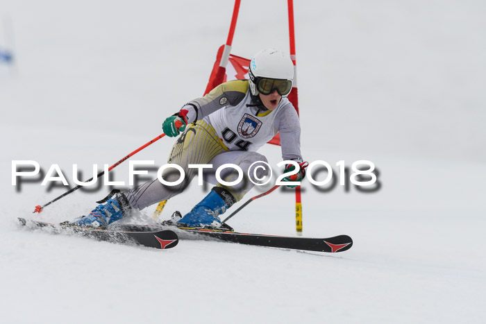 Int. FIS Rennen Damen, RS, Maria Alm 09.01.2018