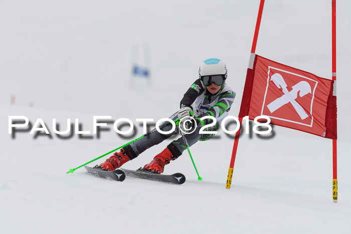 Int. FIS Rennen Damen, RS, Maria Alm 09.01.2018