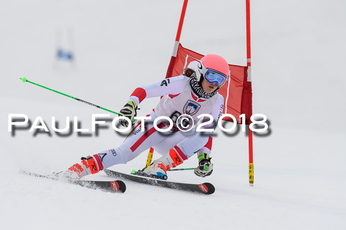 Int. FIS Rennen Damen, RS, Maria Alm 09.01.2018