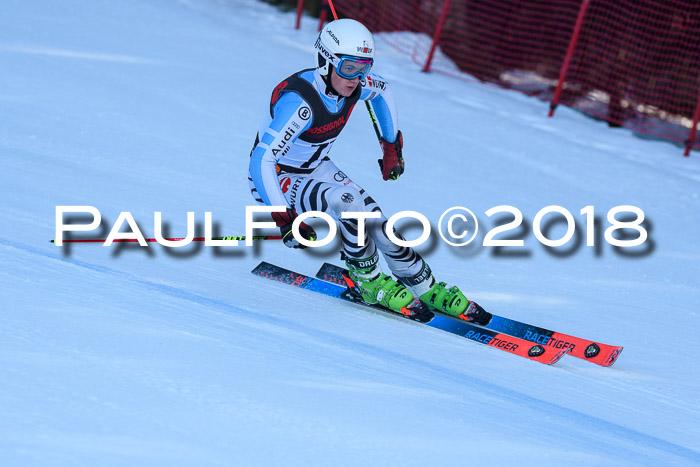 Int. FIS Rennen Herren, RS, Maria Alm 10.01.2018