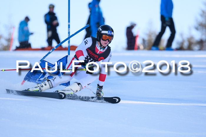 Int. FIS Rennen Herren, RS, Maria Alm 10.01.2018