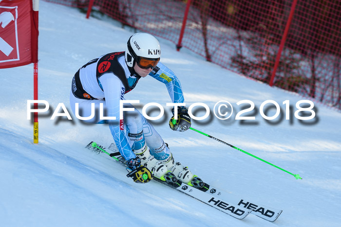 Int. FIS Rennen Herren, RS, Maria Alm 10.01.2018