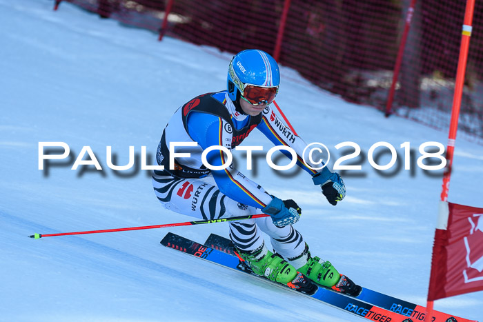 Int. FIS Rennen Herren, RS, Maria Alm 10.01.2018