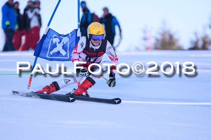 Int. FIS Rennen Herren, RS, Maria Alm 10.01.2018