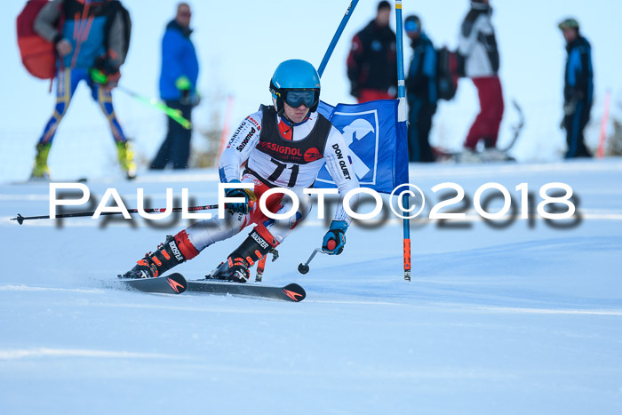 Int. FIS Rennen Herren, RS, Maria Alm 10.01.2018