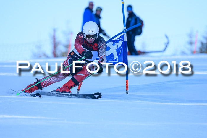 Int. FIS Rennen Herren, RS, Maria Alm 10.01.2018