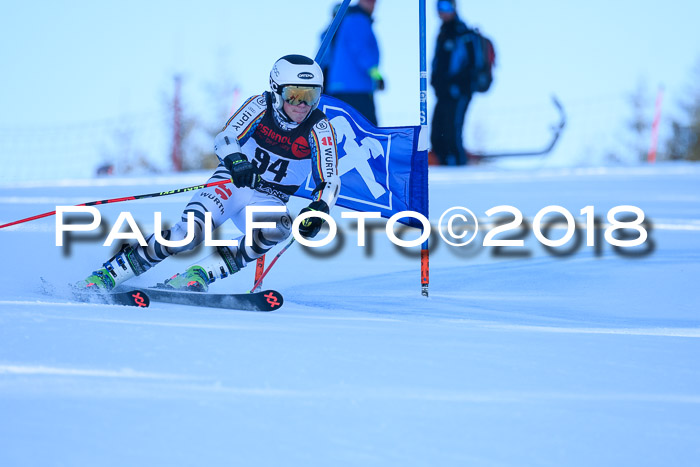 Int. FIS Rennen Herren, RS, Maria Alm 10.01.2018