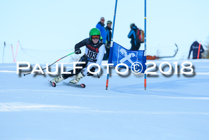 Int. FIS Rennen Herren, RS, Maria Alm 10.01.2018