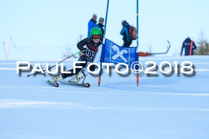 Int. FIS Rennen Herren, RS, Maria Alm 10.01.2018