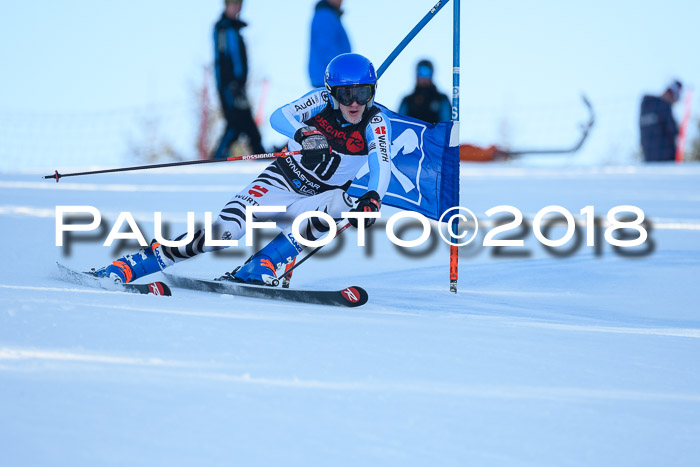 Int. FIS Rennen Herren, RS, Maria Alm 10.01.2018