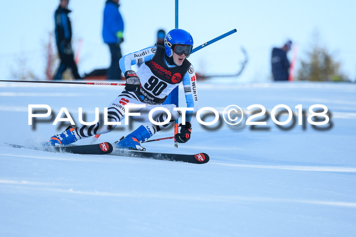 Int. FIS Rennen Herren, RS, Maria Alm 10.01.2018