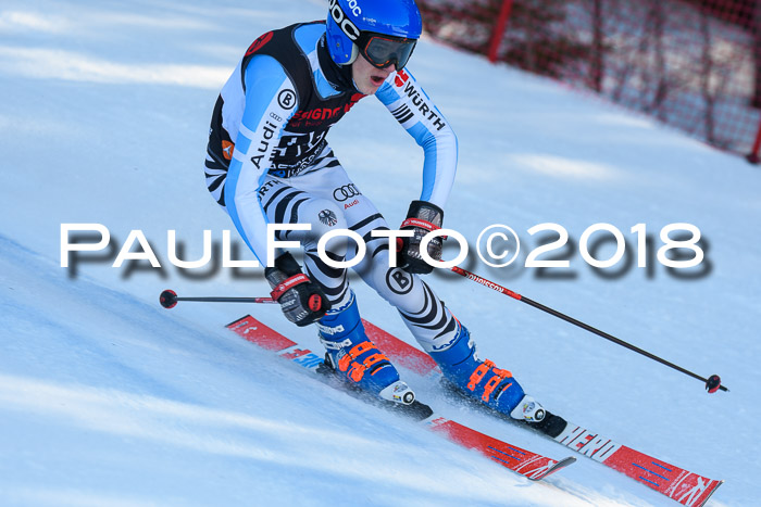 Int. FIS Rennen Herren, RS, Maria Alm 10.01.2018