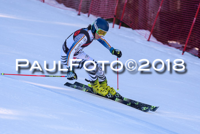 Int. FIS Rennen Herren, RS, Maria Alm 10.01.2018