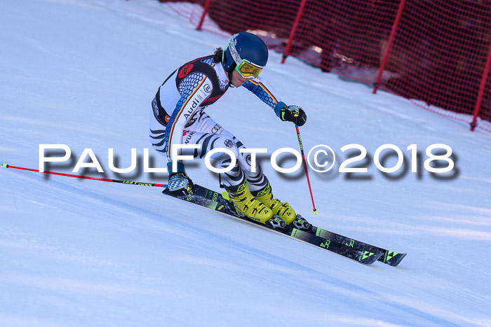 Int. FIS Rennen Herren, RS, Maria Alm 10.01.2018