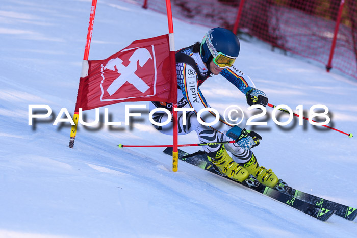 Int. FIS Rennen Herren, RS, Maria Alm 10.01.2018