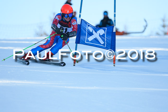 Int. FIS Rennen Herren, RS, Maria Alm 10.01.2018