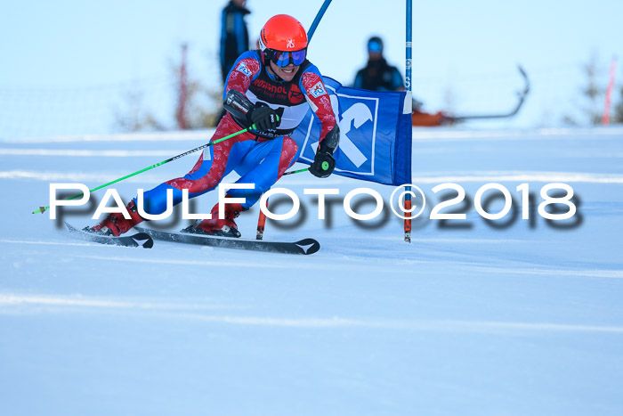 Int. FIS Rennen Herren, RS, Maria Alm 10.01.2018