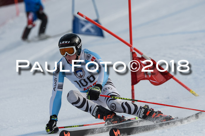 Int. FIS Rennen Herren, RS, Maria Alm 11.01.2018