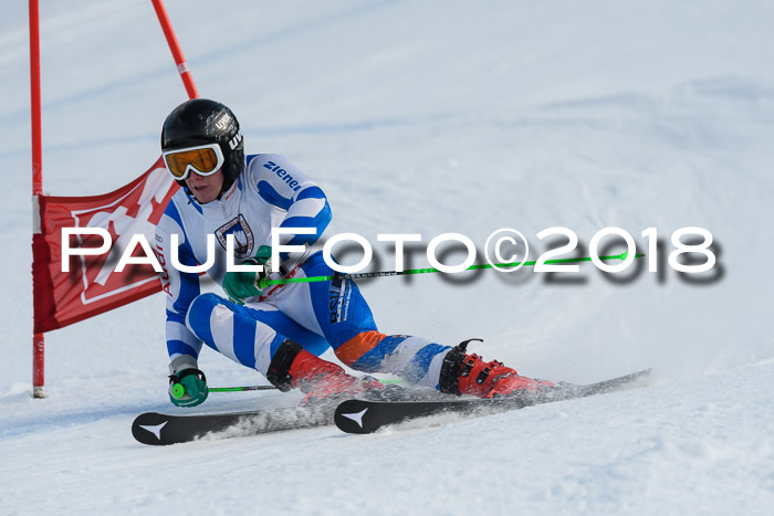 Int. FIS Rennen Herren, RS, Maria Alm 11.01.2018