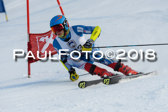 Int. FIS Rennen Herren, RS, Maria Alm 11.01.2018