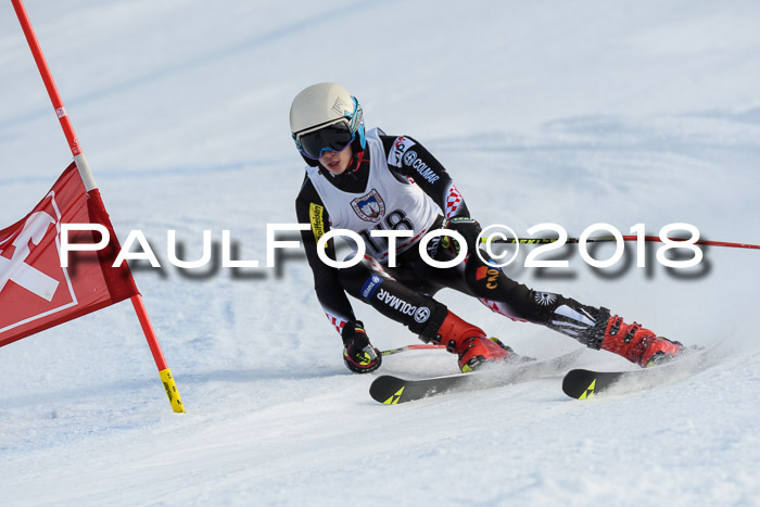 Int. FIS Rennen Herren, RS, Maria Alm 11.01.2018