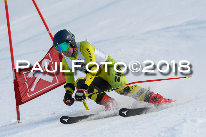 Int. FIS Rennen Herren, RS, Maria Alm 11.01.2018