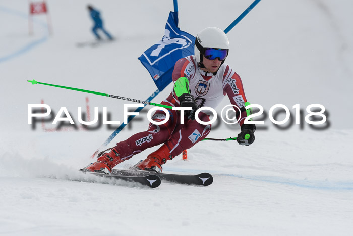 Int. FIS Rennen Herren, RS, Maria Alm 11.01.2018