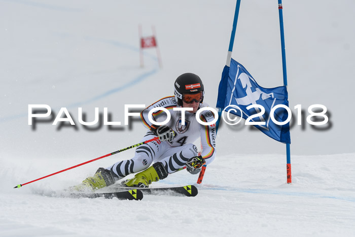 Int. FIS Rennen Herren, RS, Maria Alm 11.01.2018