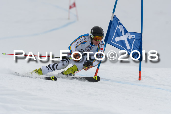 Int. FIS Rennen Herren, RS, Maria Alm 11.01.2018