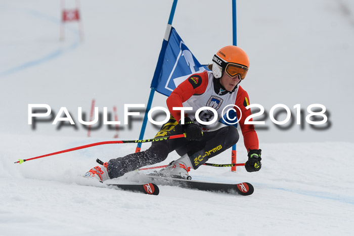 Int. FIS Rennen Herren, RS, Maria Alm 11.01.2018