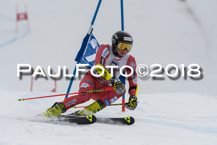 Int. FIS Rennen Herren, RS, Maria Alm 11.01.2018