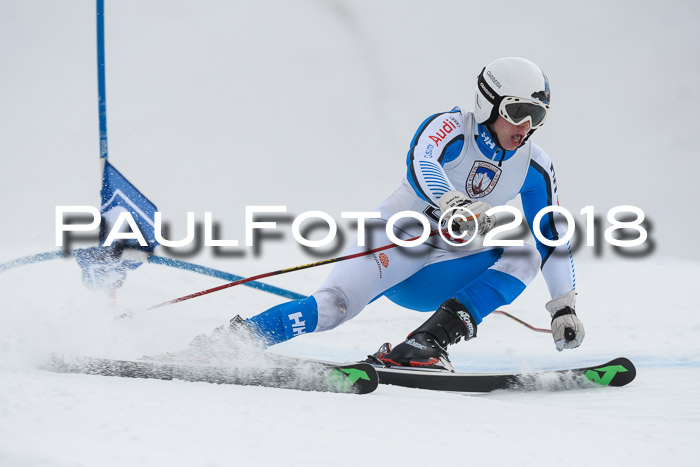 Int. FIS Rennen Herren, RS, Maria Alm 11.01.2018