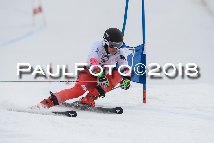 Int. FIS Rennen Herren, RS, Maria Alm 11.01.2018