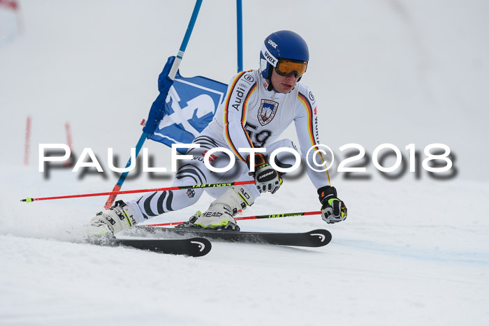 Int. FIS Rennen Herren, RS, Maria Alm 11.01.2018